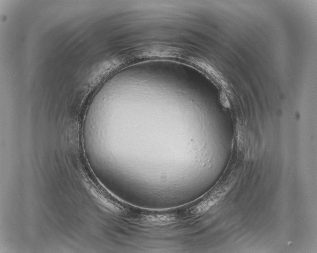 X0000067870445200604171228