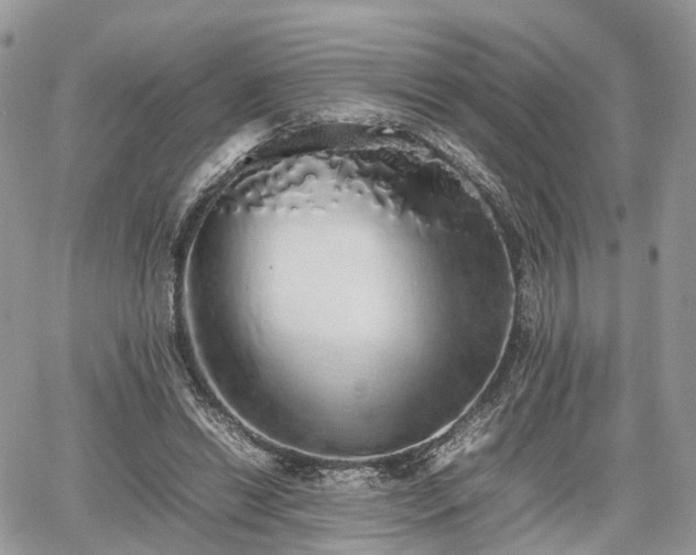 X0000067870446200604171228