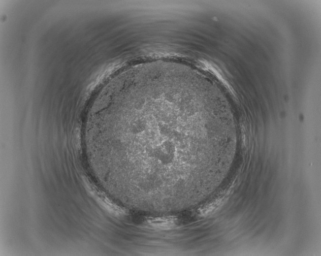 X0000067870447200604171228