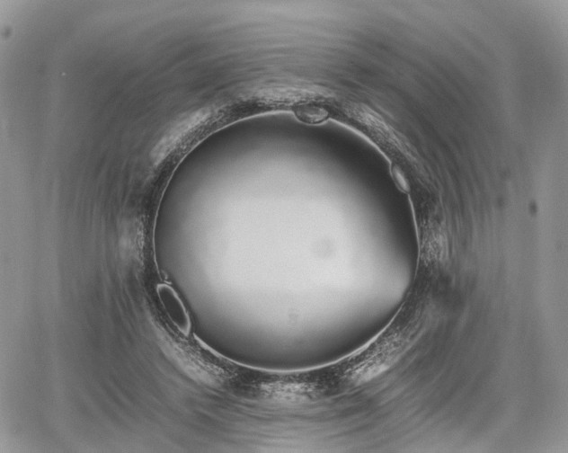 X0000067870448200604171228