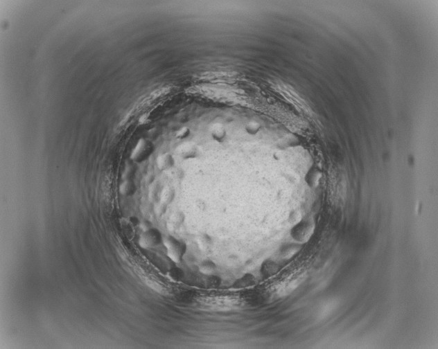 X0000067870449200604171228