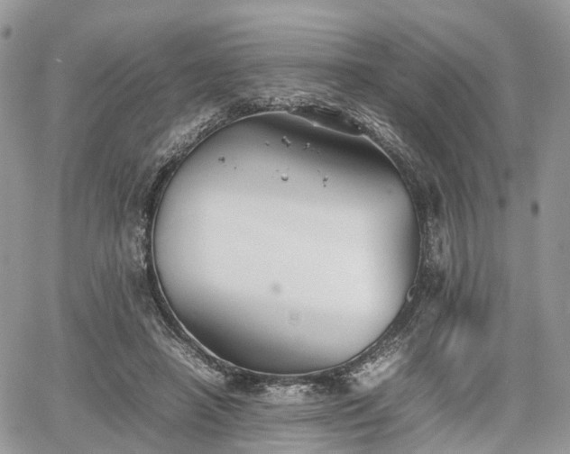 X0000067870450200604171228