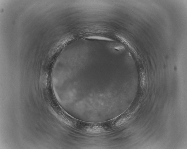 X0000067870451200604171228