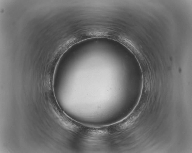 X0000067870453200604171228