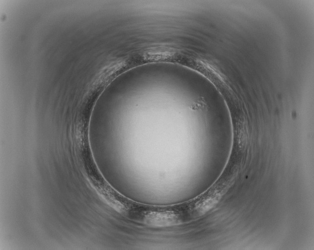 X0000067870455200604171228