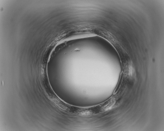 X0000067870456200604171228