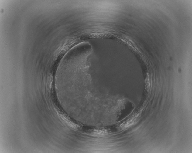 X0000067870458200604171228