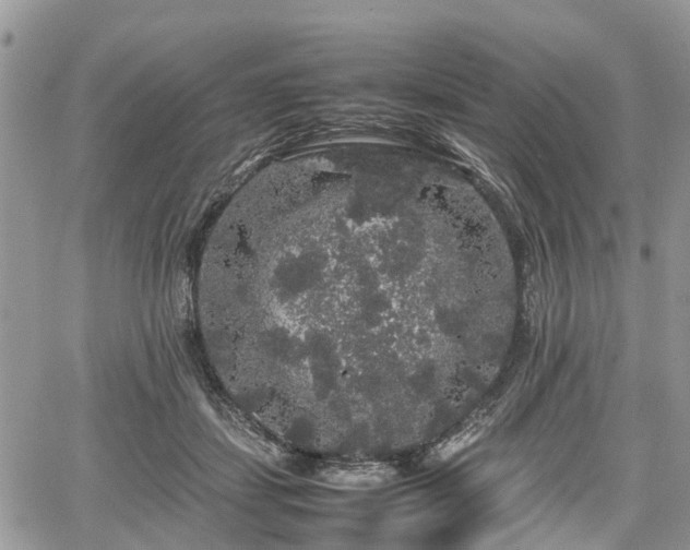 X0000067870459200604171228