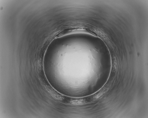 X0000067870461200604171228