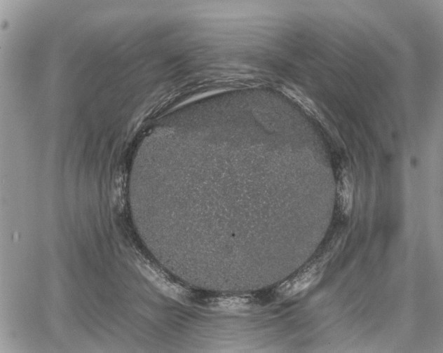 X0000067870462200604171228