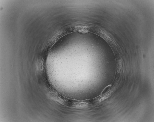 X0000067870463200604171228