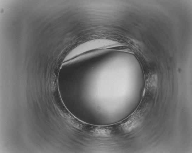 X0000067870464200604171228