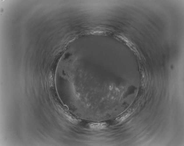 X0000067870465200604171228