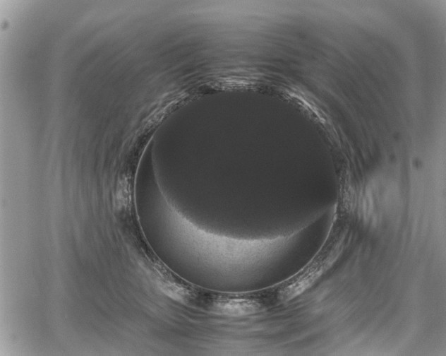 X0000067870467200604171228