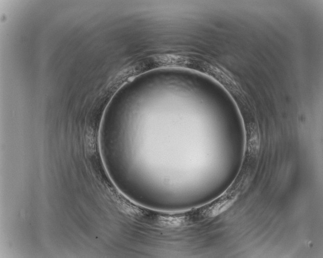 X0000067870469200604171228