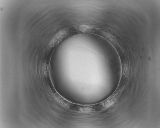 X0000067870470200604171228