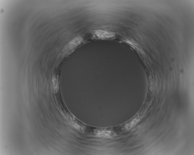 X0000067870471200604171228