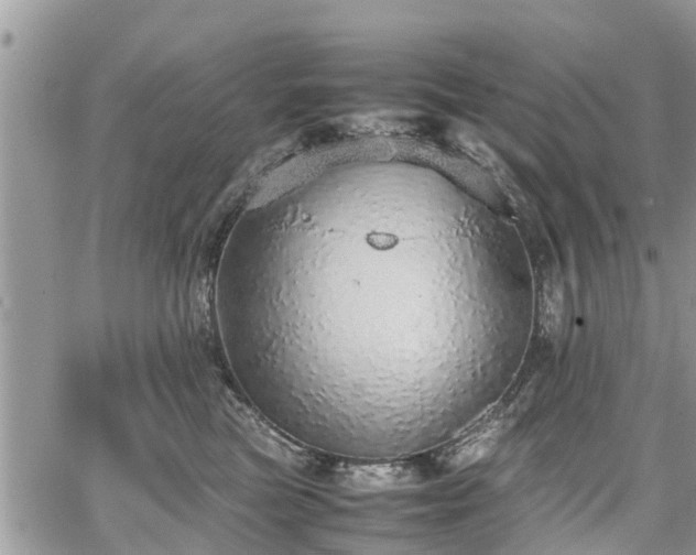 X0000067870473200604171228