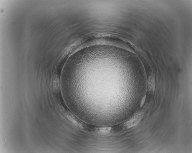 X0000067870474200604171229