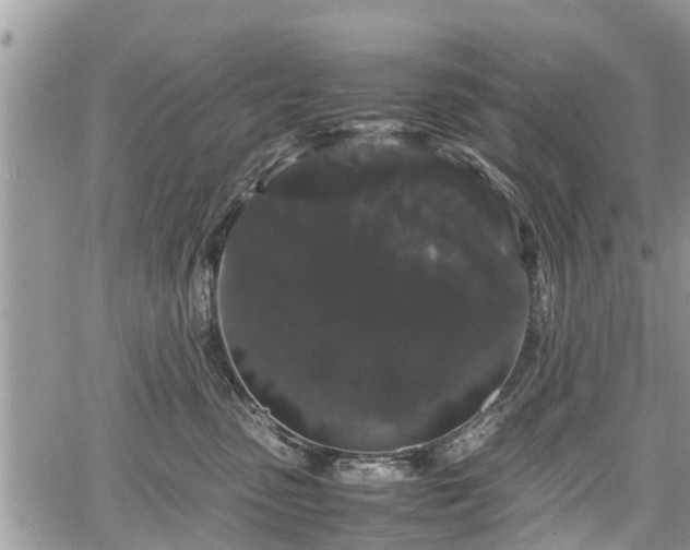 X0000067870475200604171229