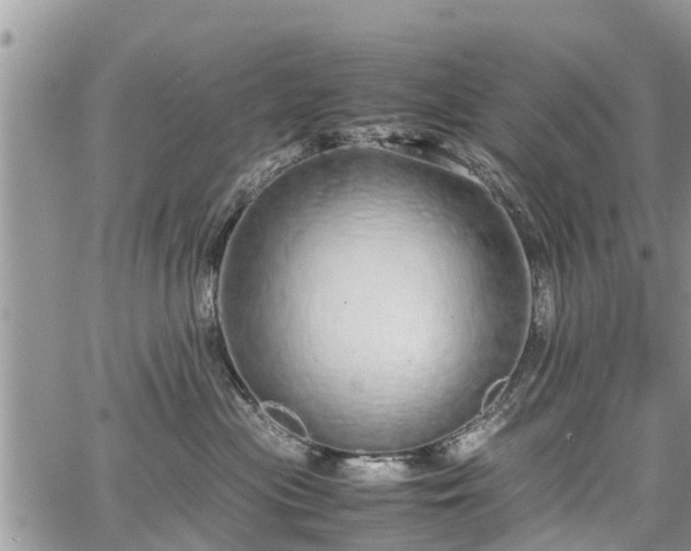 X0000067870477200604171229