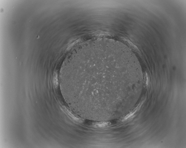 X0000067870479200604171229