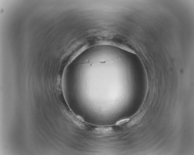 X0000067870480200604171229