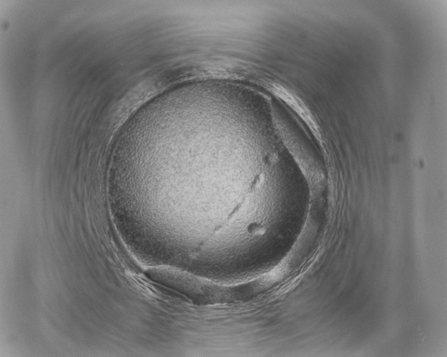 X0000067870481200604171228