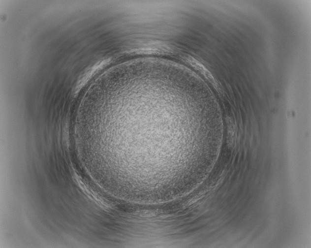 X0000067870482200604171228