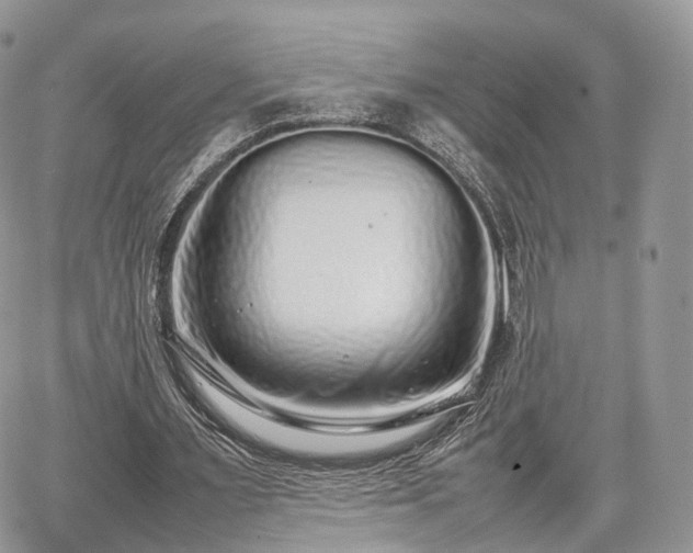 X0000067870483200604171228