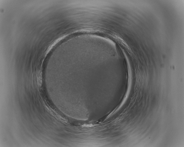 X0000067870484200604171228