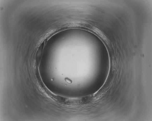 X0000067870485200604171228