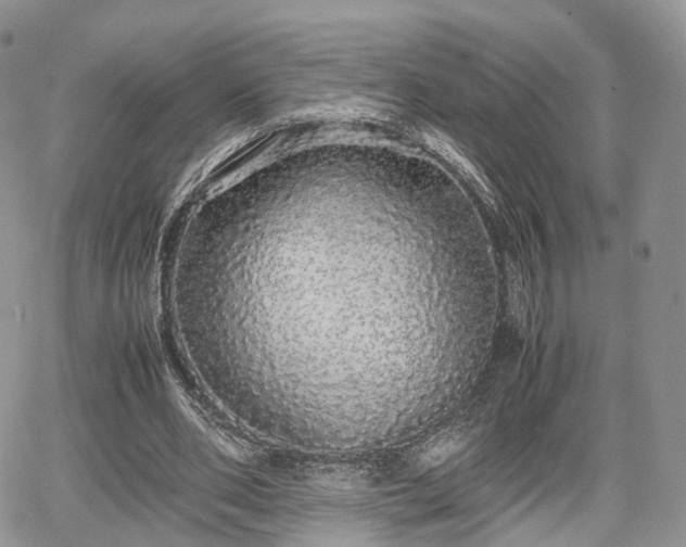 X0000067870486200604171228