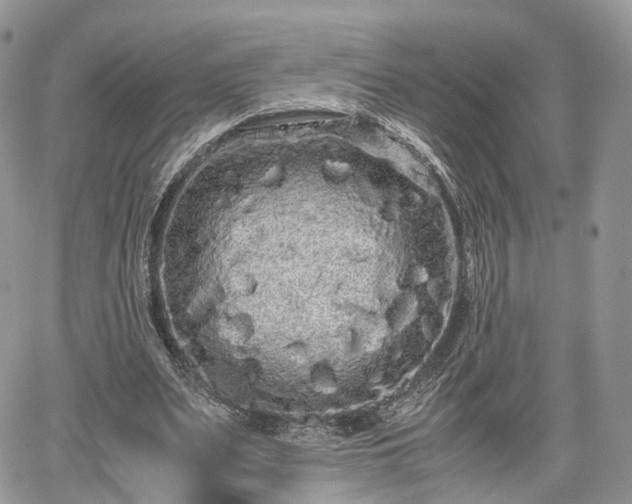 X0000067870487200604171228