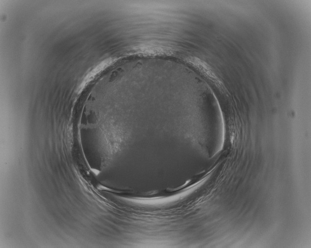 X0000067870488200604171228