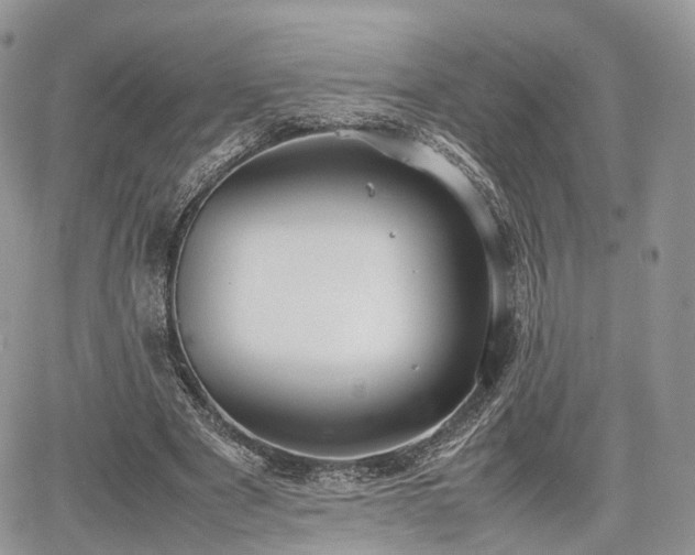 X0000067870489200604171228