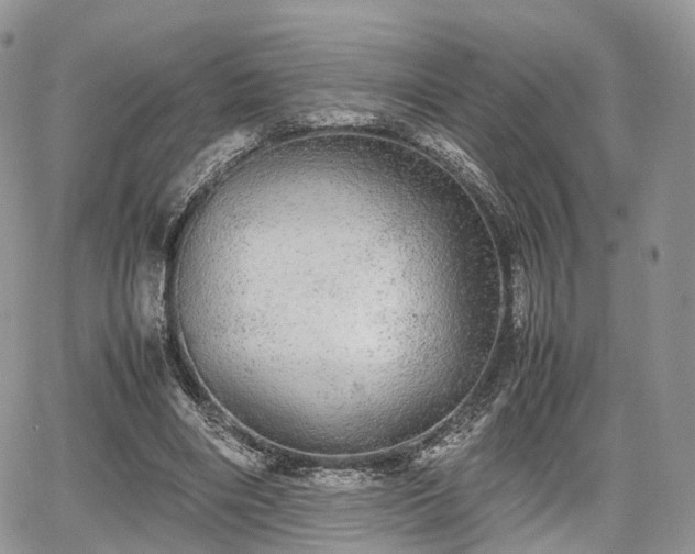 X0000067870490200604171228