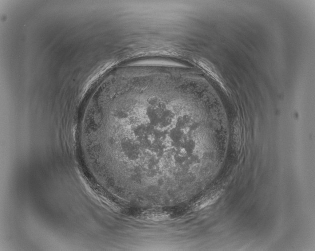 X0000067870491200604171228