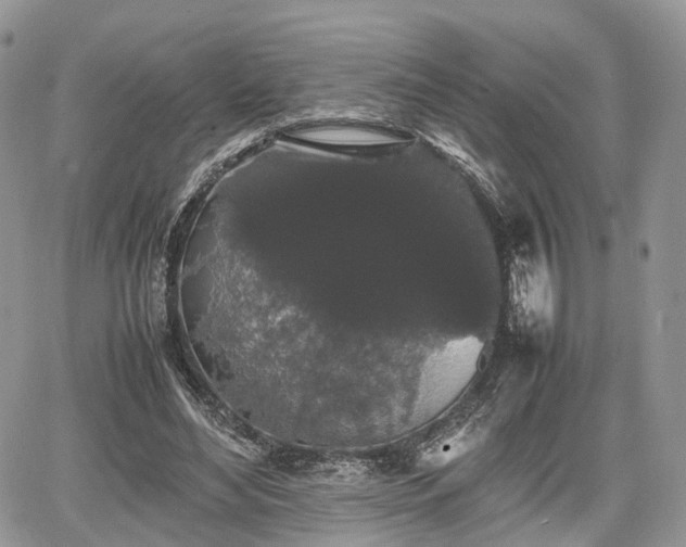 X0000067870492200604171228