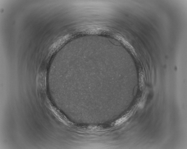 X0000067870493200604171228