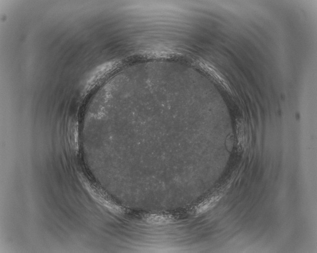 X0000067870494200604171228