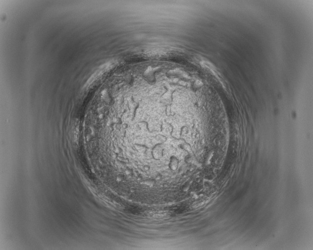 X0000067870495200604171228