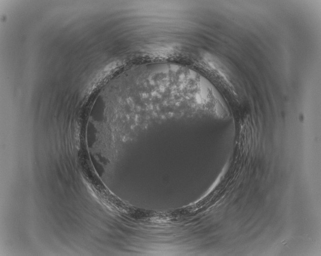 X0000067870496200604171228