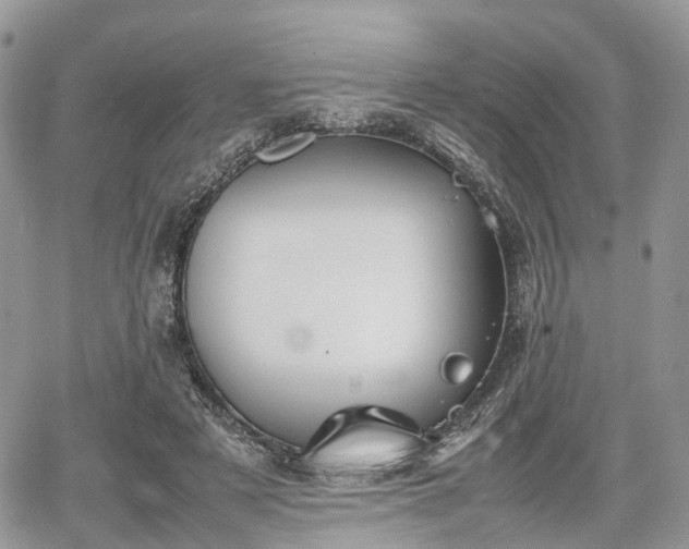 X0000067870497200604171228