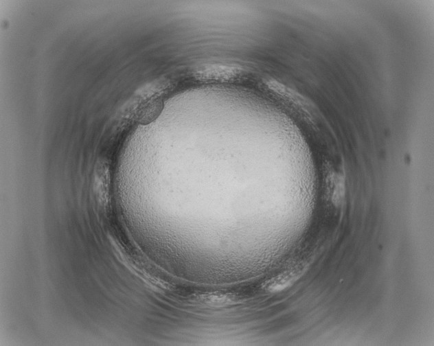 X0000067870498200604171228