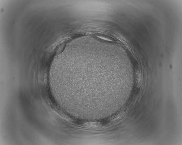 X0000067870499200604171228