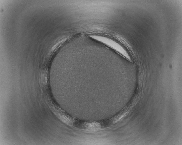 X0000067870501200604171228