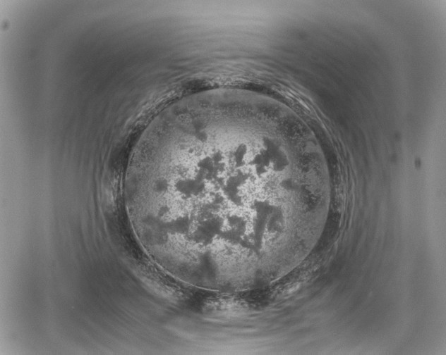 X0000067870503200604171227