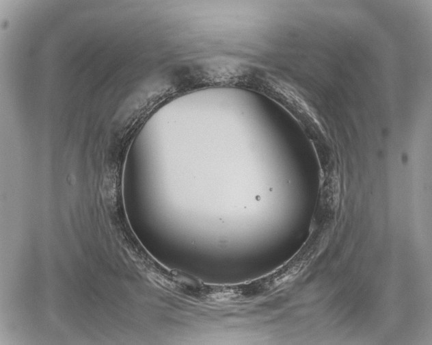 X0000067870505200604171227