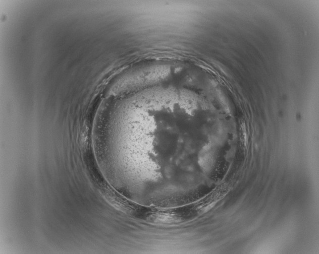 X0000067870507200604171227